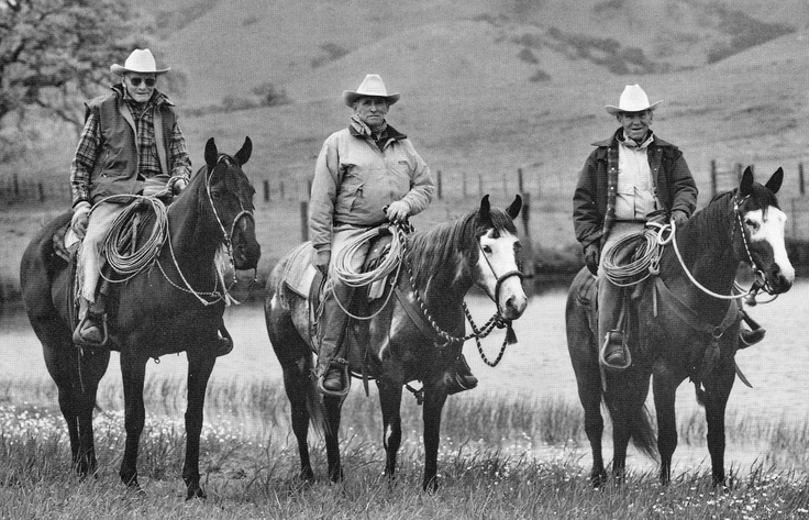 Black and white picture of three cowboys riding horses