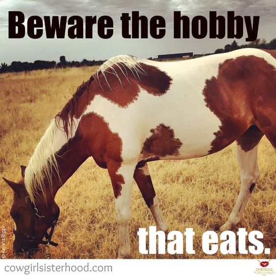 beware the hobby
